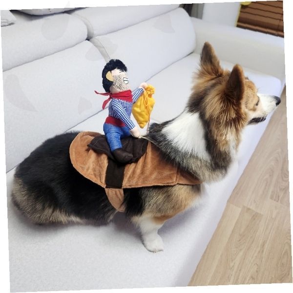 강아지 카우보이 의상 애견 변장 할로윈 파티 의류 소품 탑승자 테마 복장 펫 카우걸 웨스턴