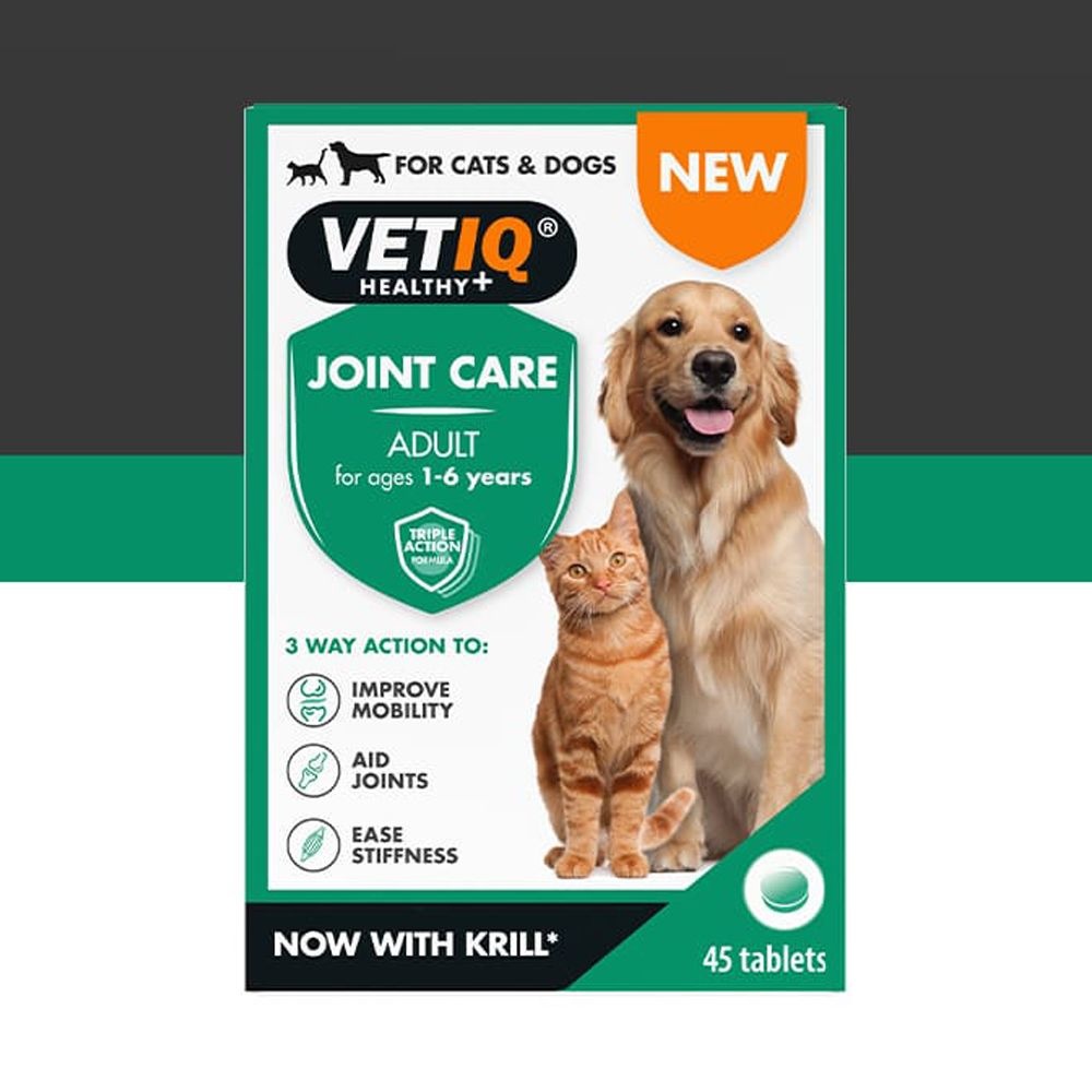 상품상세참조 VETIQ 벳아이큐 6세이하 어덜트 강아지 고양이 성묘 성견 조인트 케어 관절 영양제 45정