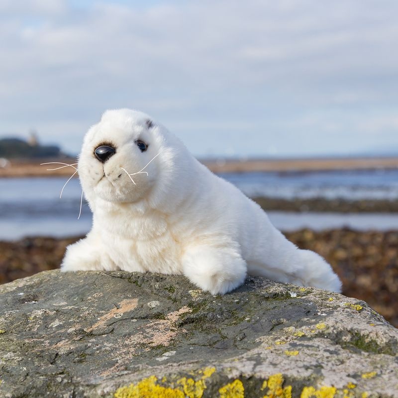 애너미고스 영국에서 온 동물친구 바다표범인형 귀여운 동물인형