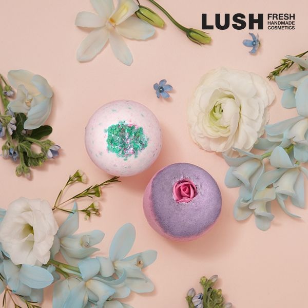 러쉬 봄날의 벚꽃 엔딩 (형평성+섹스 밤)