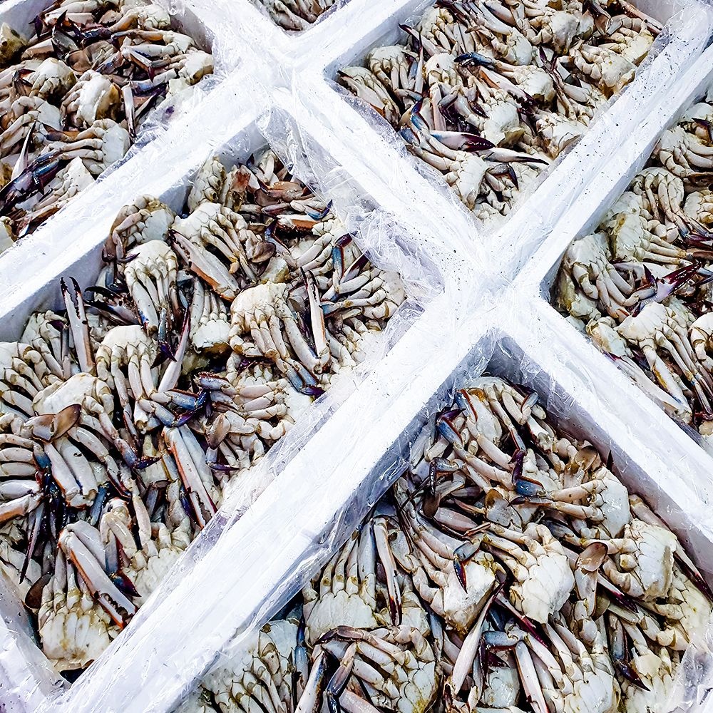 국내산 연평도 손질 꽃게 5kg 급랭 절단 게장용 무침용 업소용 암수랜덤 (손질꽃게5kg대)