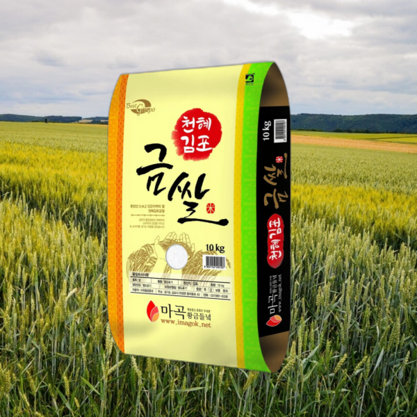 김포쌀 마곡황금들녘 김포금쌀 쌀 햅쌀 10kg