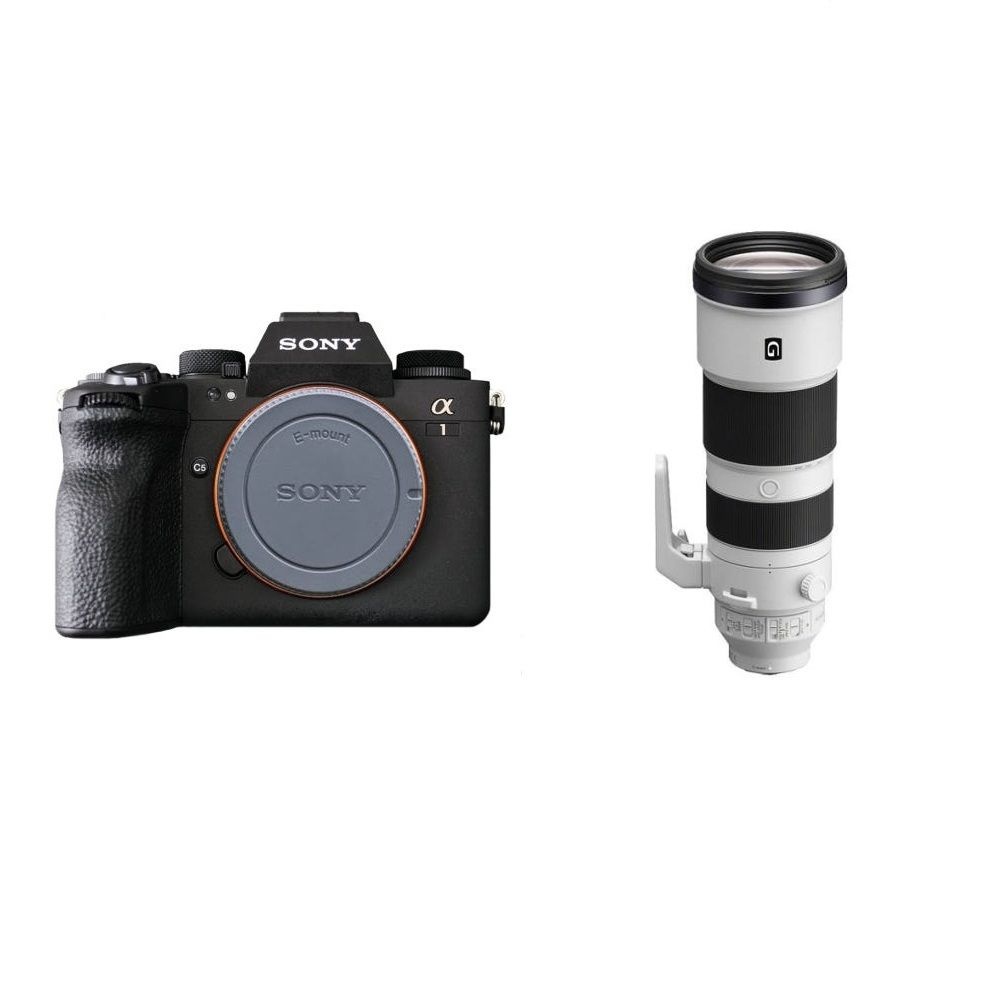 소니코리아 알파 A1 II / A1M2+FE 200-600mm F5.6-6.3 GM WG