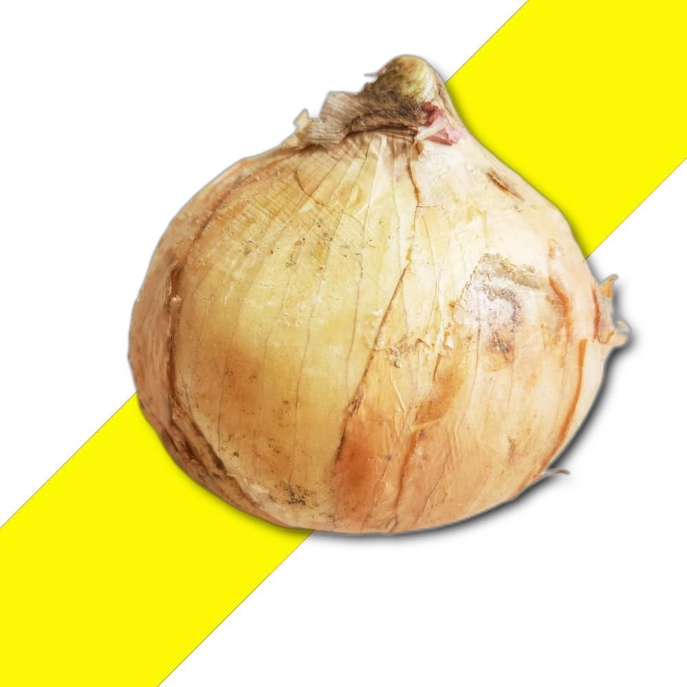 국내산 양파 5KG 소 장아찌용 블루베리 포도 자두 마늘쫑 복숭아