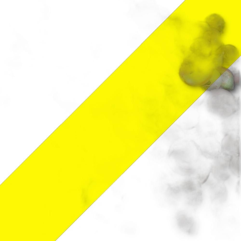 국내산 양파 5KG 특 블루베리 포도 자두 마늘쫑 복숭아