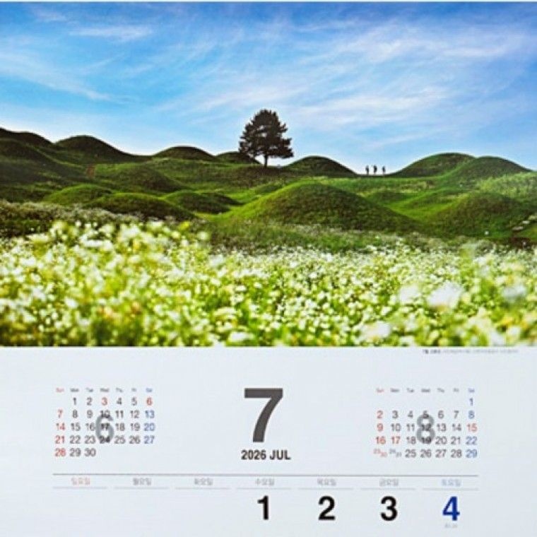 대주기획 2026년 대형 벽걸이 달력 한국관광공사 잘경 3달 특대형  평점상위