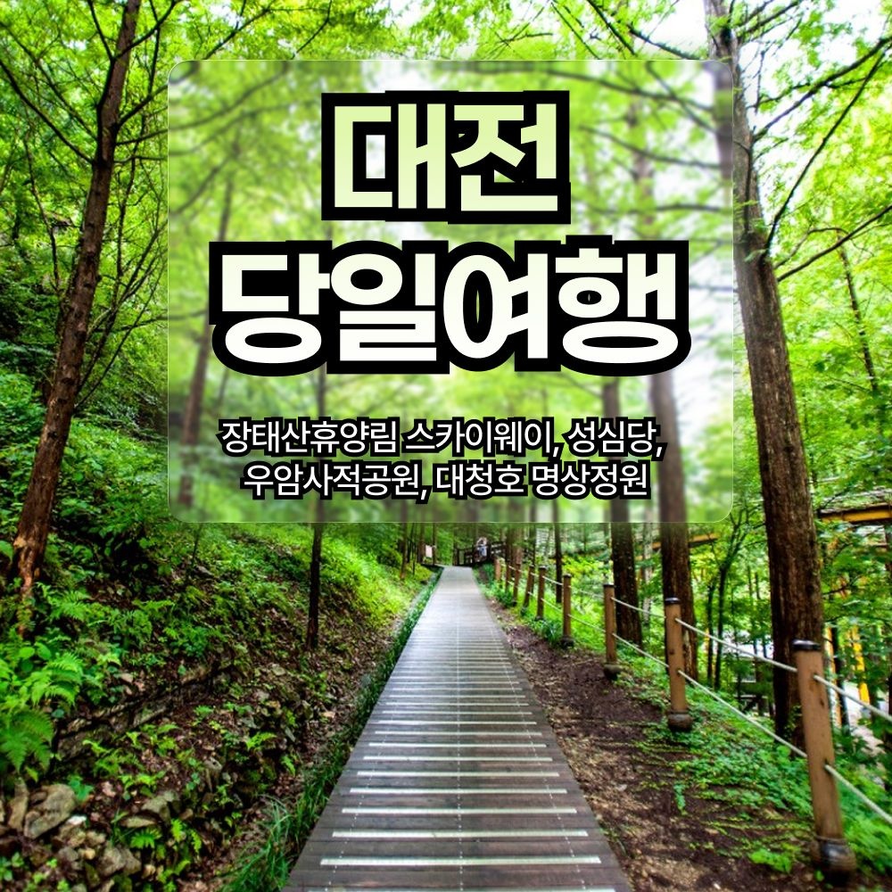 테마캠프 [당일여행] 대전 장태산휴양림 스카이웨이, 성심당, 우암사적공원, 대청호 명상정원