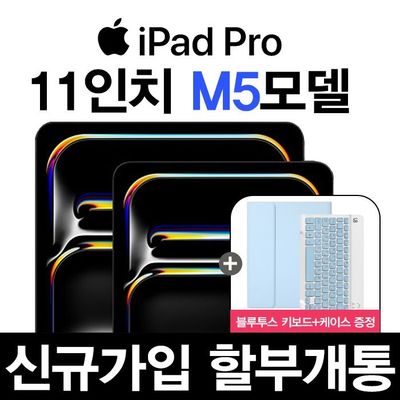 아이패드 프로 13