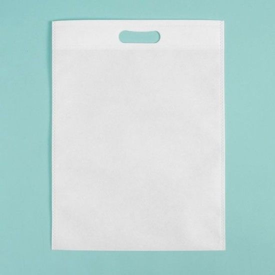 부직포 베이직 컬러 가방 10p(40x50cm) 올데이 (화이 부직포가방 부직포백 튼튼한쇼핑백