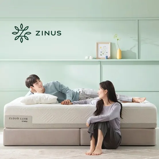 지누스 컨투어 필로우 (메모리폼 베개) 1+1
