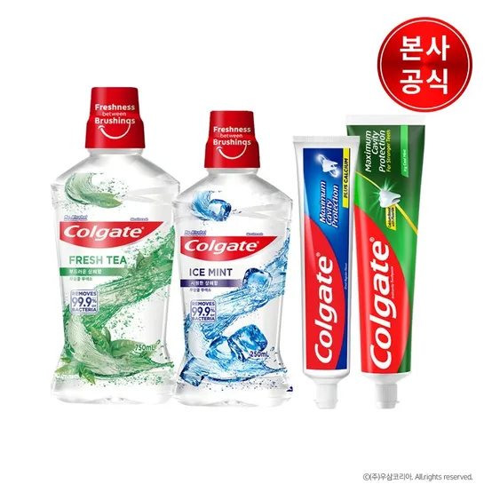 [100g]콜게이트 캐비티 프로텍션 불소치약 레귤러/쿨민트 3개