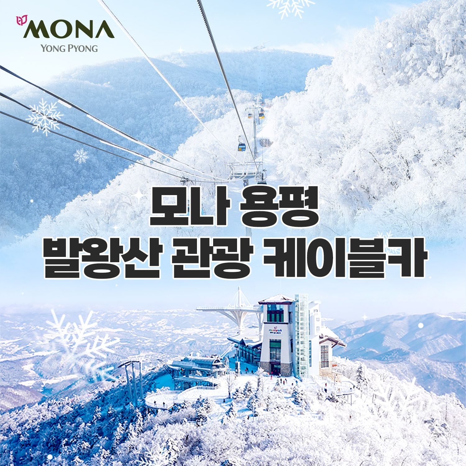 모나용평 [평창] 모나용평 발왕산 관광케이블카(12/6~3/2)
