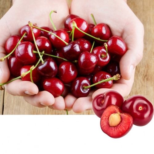 이든비에스 [온누리상품 상생페이백] 칠레산 고당도 생 체리 300g/500g/1kg/5kg 대과 특대과