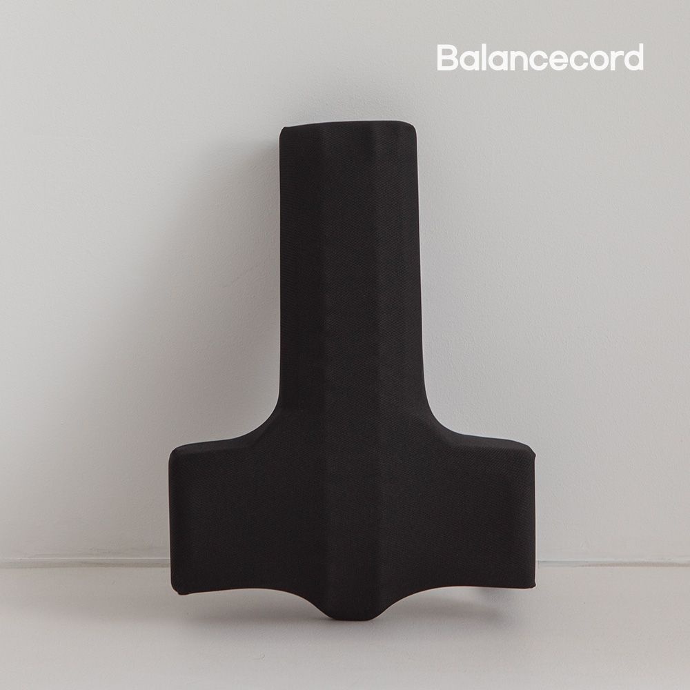 발란스코드 카이로프랙틱쿠션 의자 허리쿠션 등받이 허리받침 척추 쿠션