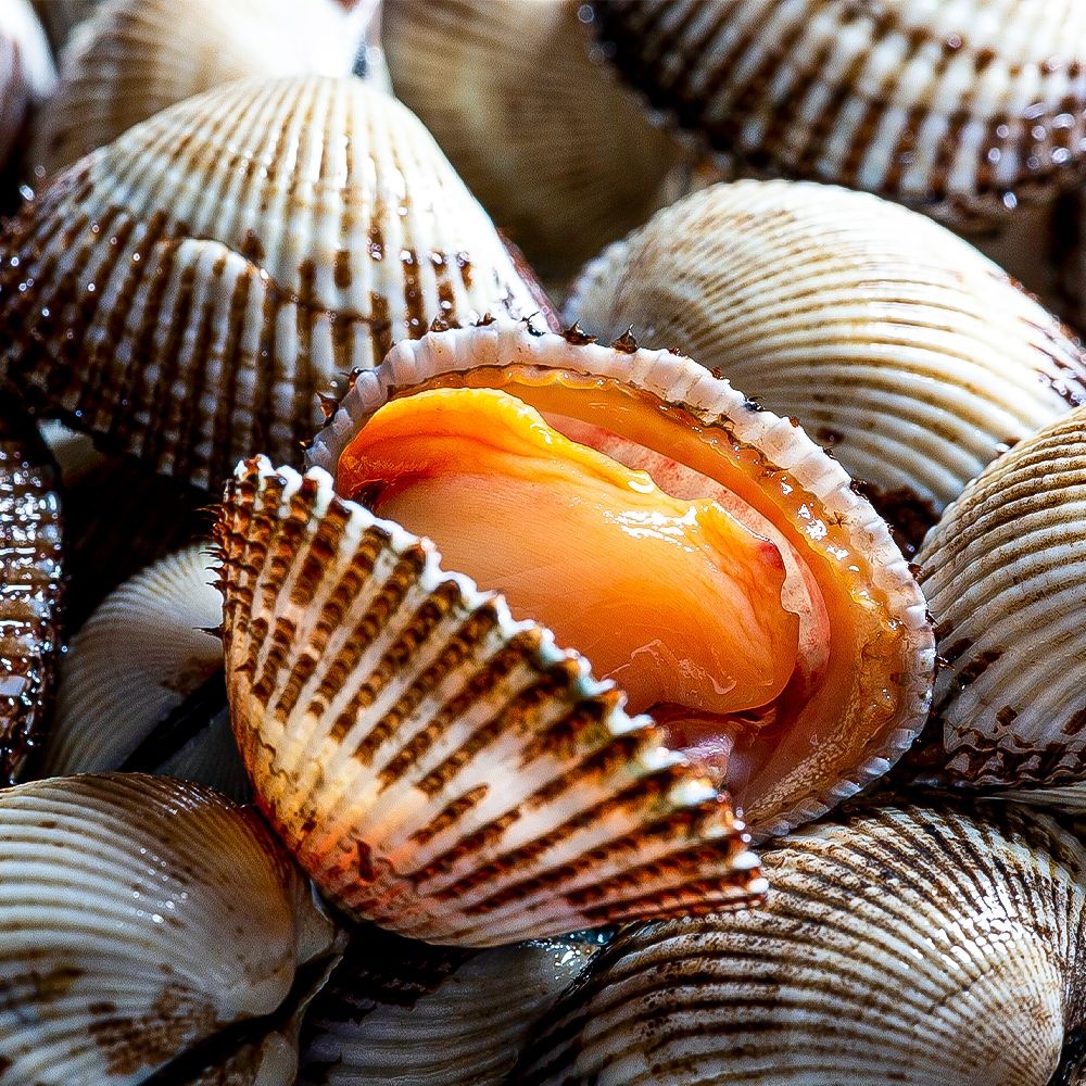 당일조업 국내산 제철 새꼬막 1kg 소 / 120미 이상