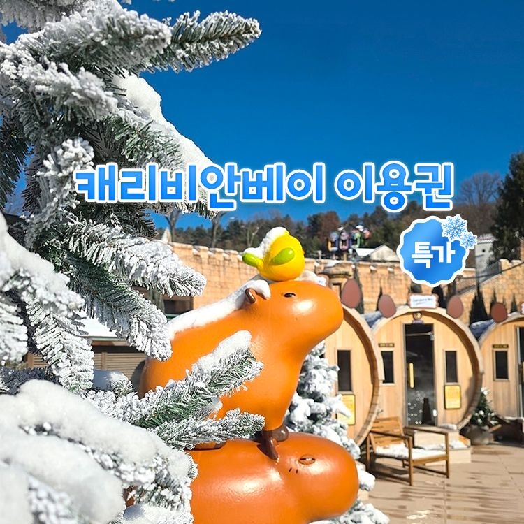 캐리비안베이 [슈퍼트립] 용인 캐리비안베이 종일권&콤비권 특가 프로모션, 이용기간 최대 1월 31일까지, 주중&주말 공통혜택