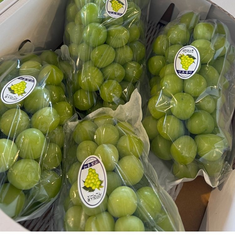 산지직송연구소 샤인머스켓 농가돕기 노마진 가정용 실속팩 1~4kg 중량선택