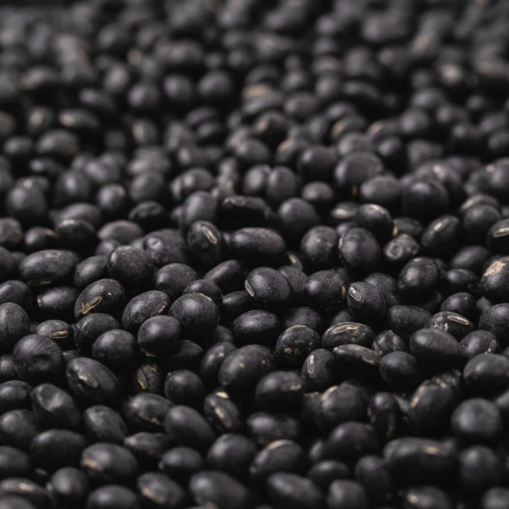 2025년 햇곡 국산  서리태 2kg