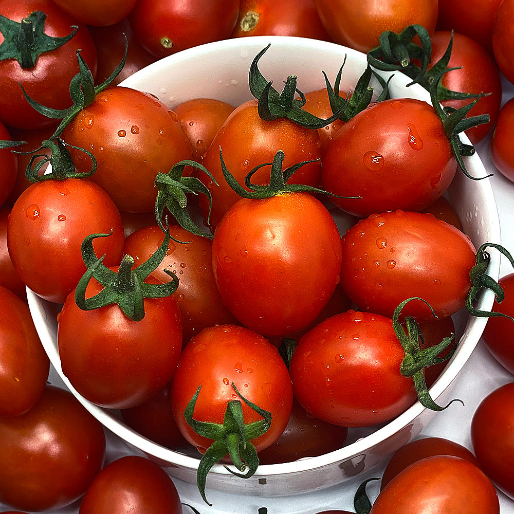 모닝큐 정품 대추 방울토마토 로얄과 당일수확 5kg