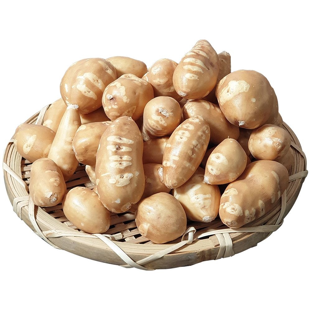 [현대친환경]해남 인디언감자 아피오스 5kg (중/대/특) 손질세척으로 편리한 땅끝마을 콩감자