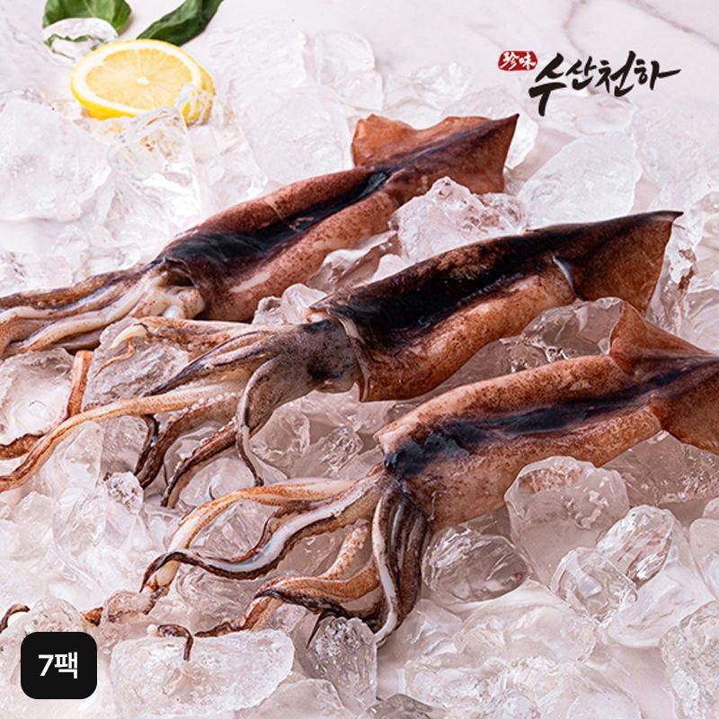 100% 국내산 손질 통오징어 7팩 (180g (2마리)X7팩, 총 14마리)[35368639]