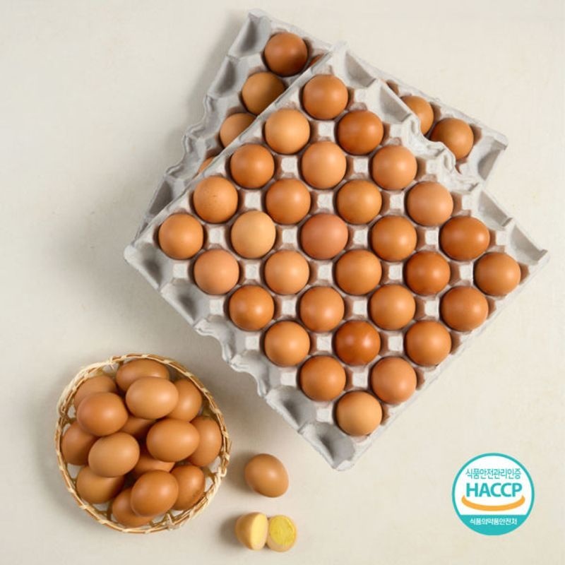 [TC][HACCP인증]구운계란 대란 60구(30구x2판)