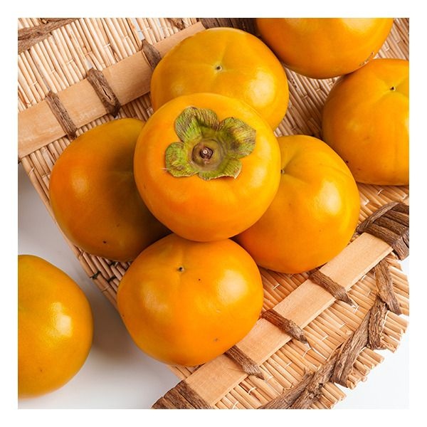 [전라도청년] 프레시 제철 국내산 햇 단감 10kg 중소과 (51-60과)