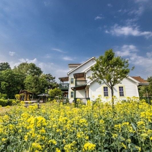 제천 청풍하트레이크펜션