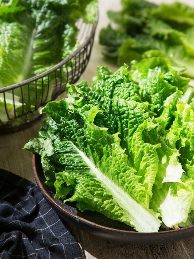 케이엠푸드 (현대Hmall) 청상추 1kg