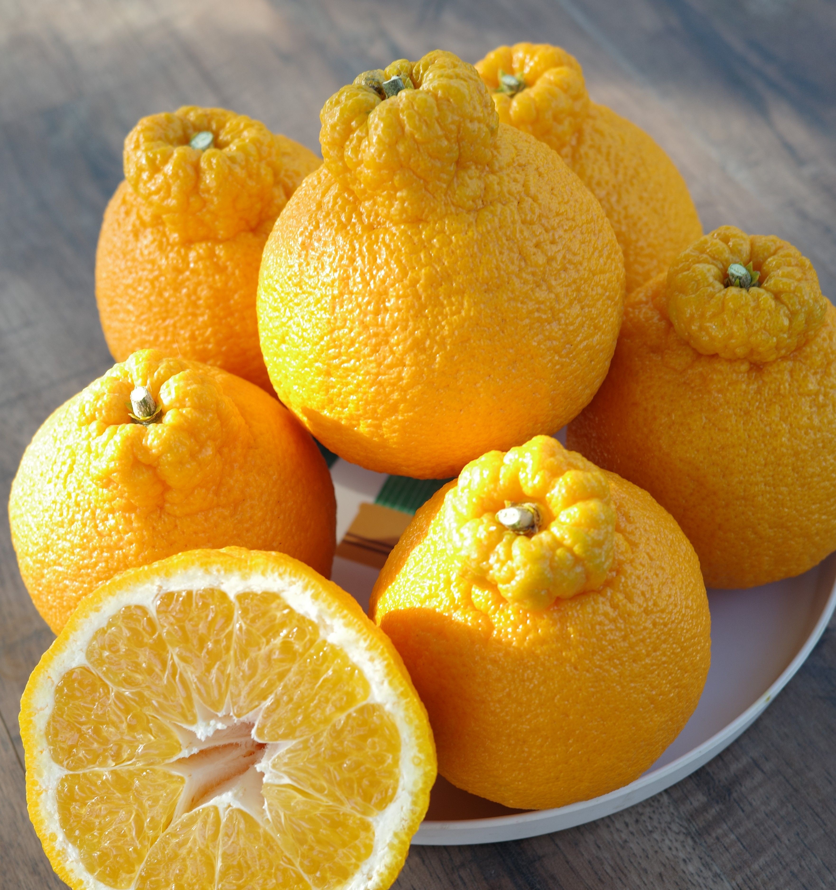 제주 한라봉 산지직송 고당도 가정용/선물용 설날선물 3KG 5KG 10KG