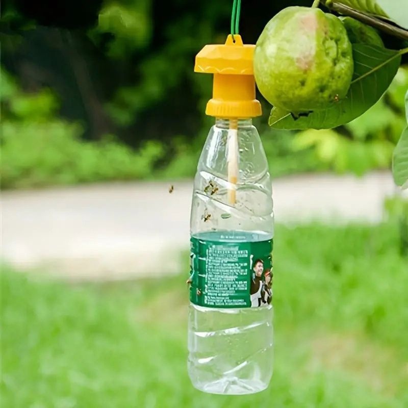 에코벨 위생적인 곤충 해충 과일 파리 트랩/날파리 초파리 벌