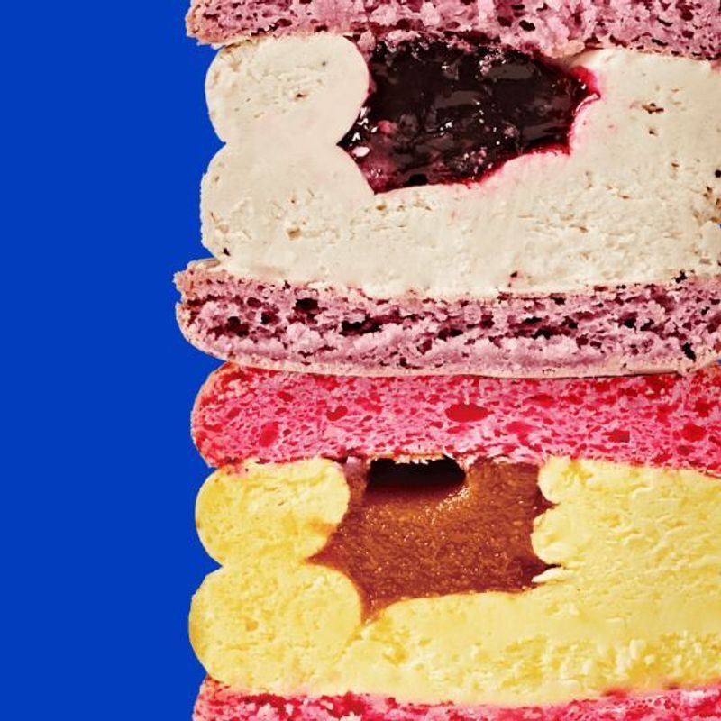 [조인앤조인]널담 뚱카롱 널담은 듀오에디션 고식이섬유 마카롱 솔티드플라워 8구+블루베리스타 8구