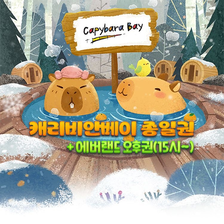 [캐리비안베이]캐리비안 베이 종일+에버랜드 오후권(12/5~26/3/2) : 롯데ON