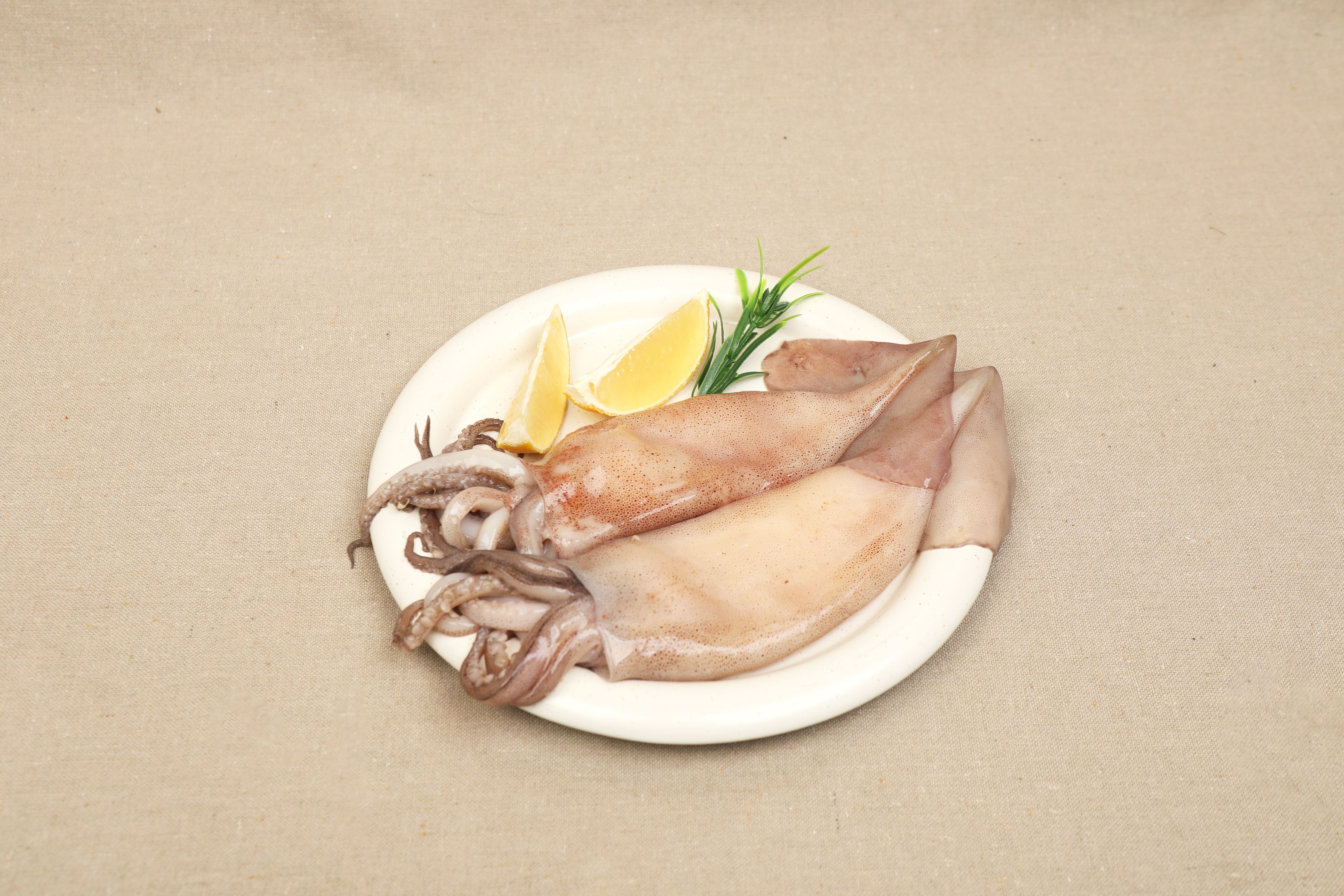 거산수산 (현대Hmall) [미식한가] 원양산 냉동 손질 통오징어 (팩당 260g 내외) 2미 x 3팩