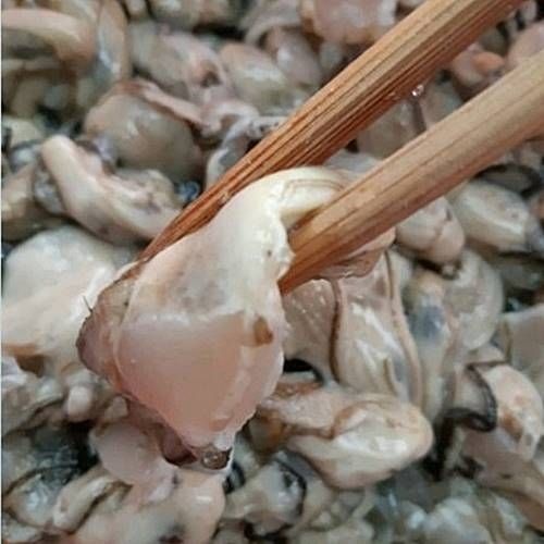 [온누리상품] 제철 산지직송 여수 깐굴 생굴 1kg