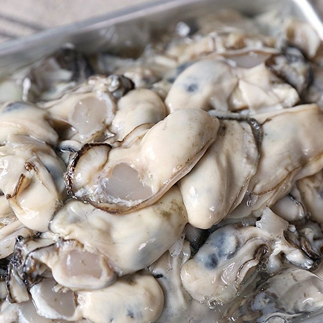[맛꾼푸드]당일조업 통영에서 온 탱글한 제철 생굴 햇 굴 중대굴 깐굴 1kg外 빙장포장 : 롯데ON