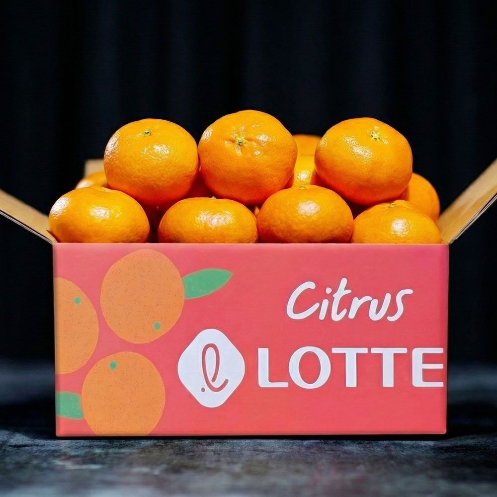 새코롬 제주 당도선별 레드향 풍부한 과즙까지 잡은 귤의 끝판왕