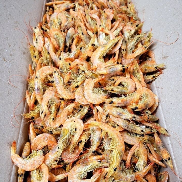 1차식품으로 판매자 문의 [명화씨푸드] 국내산 햇 건새우 중하새우 1.5kg 볶음 조림 국물 육수