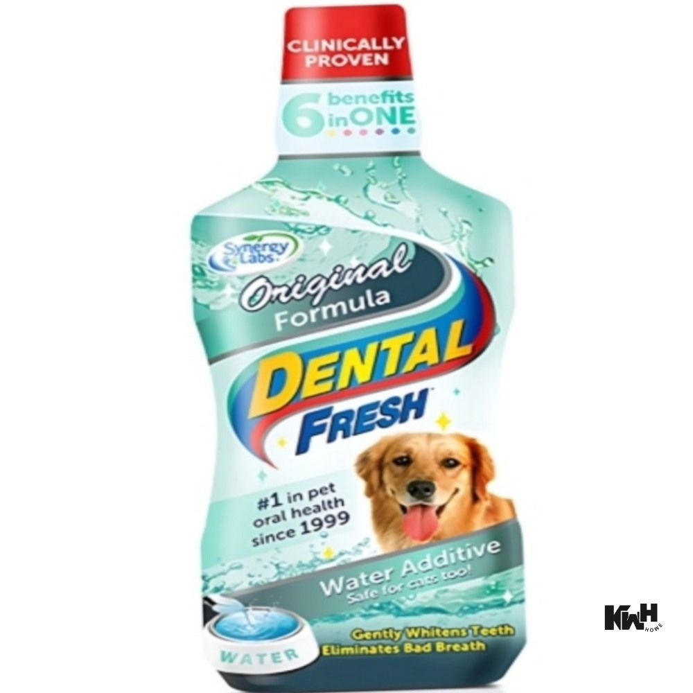 반려견 물에 섞는 치약 구강관리용품 반려동물치약 애견치약 강아지치약