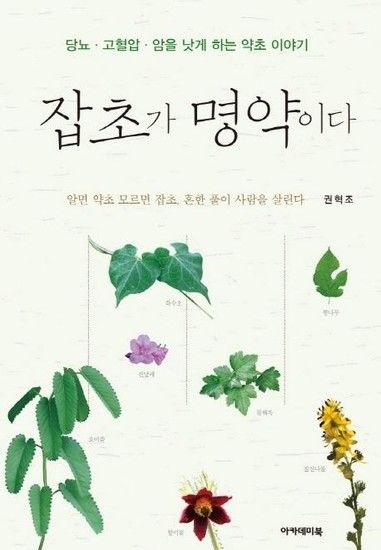 웅진북센리빙올 잡초가 명약이다 - 당뇨.고혈압.암을 낫게 하는 약초 이야기