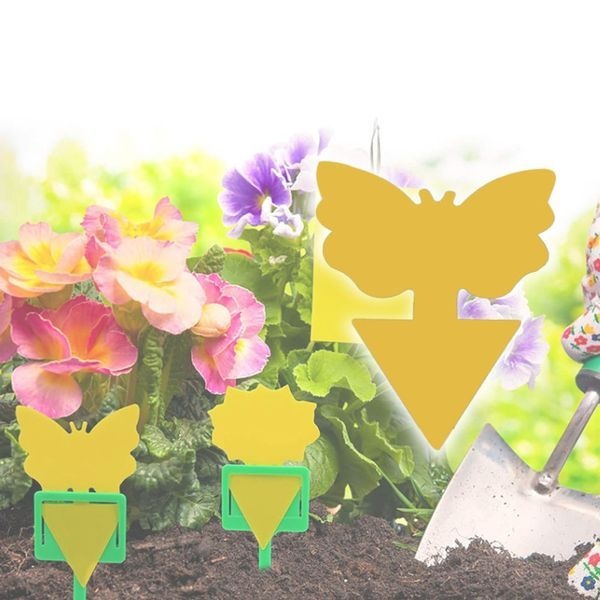 에이치플러스몰 나비 모양 끈끈이 양면 트랩 10p DD-10894(W9015F6)