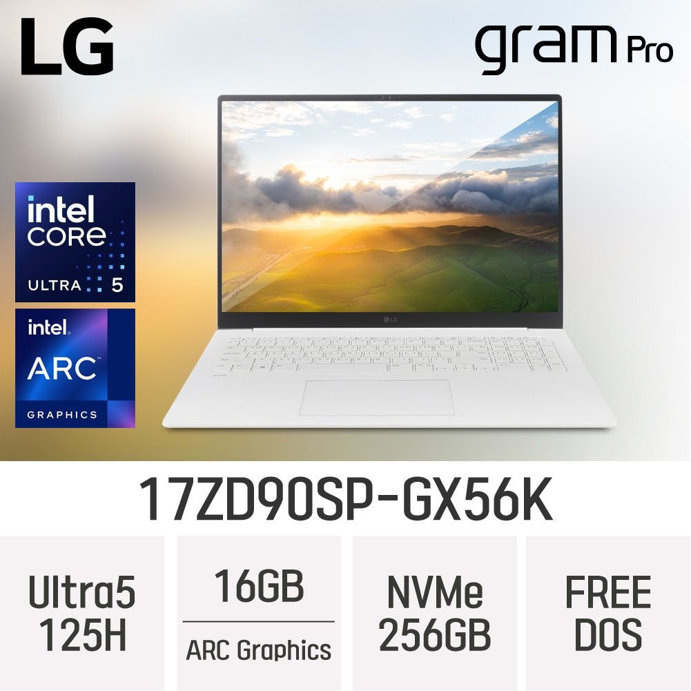 LG LG전자 17인치 17ZD90SP-GX56K x 울트라5 x U5-125H x WQXGA ( 16GB / N 256GB ) ND