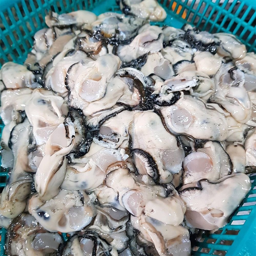 통영 생굴 2kg 중굴 깐 굴 굴제철 석화 각굴 굴튀김