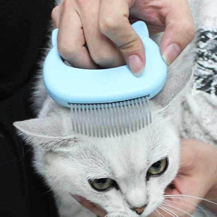 죽은털 고양이 브러쉬 고양이브 마사지 그루머 강아지빗 애견빗 고양이빗 힐링 애묘빗