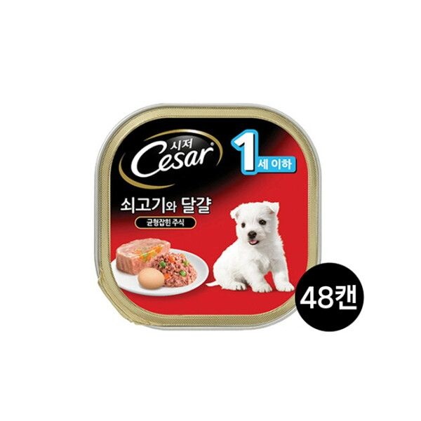[브이펫] 시저 1세이하 쇠고기와 달걀 100g 48캔/무료배송