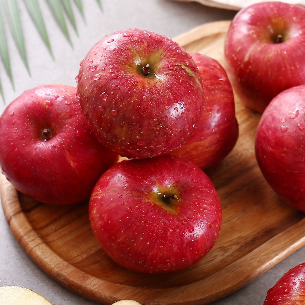 경북 제철 햇 부사사과 2.5kg 12과내