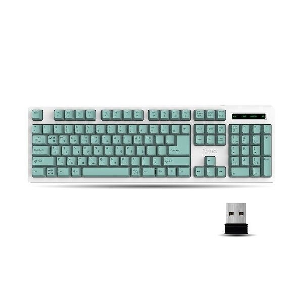 QSENN QSENN SEM-DT45 Plus 무선 (민트)