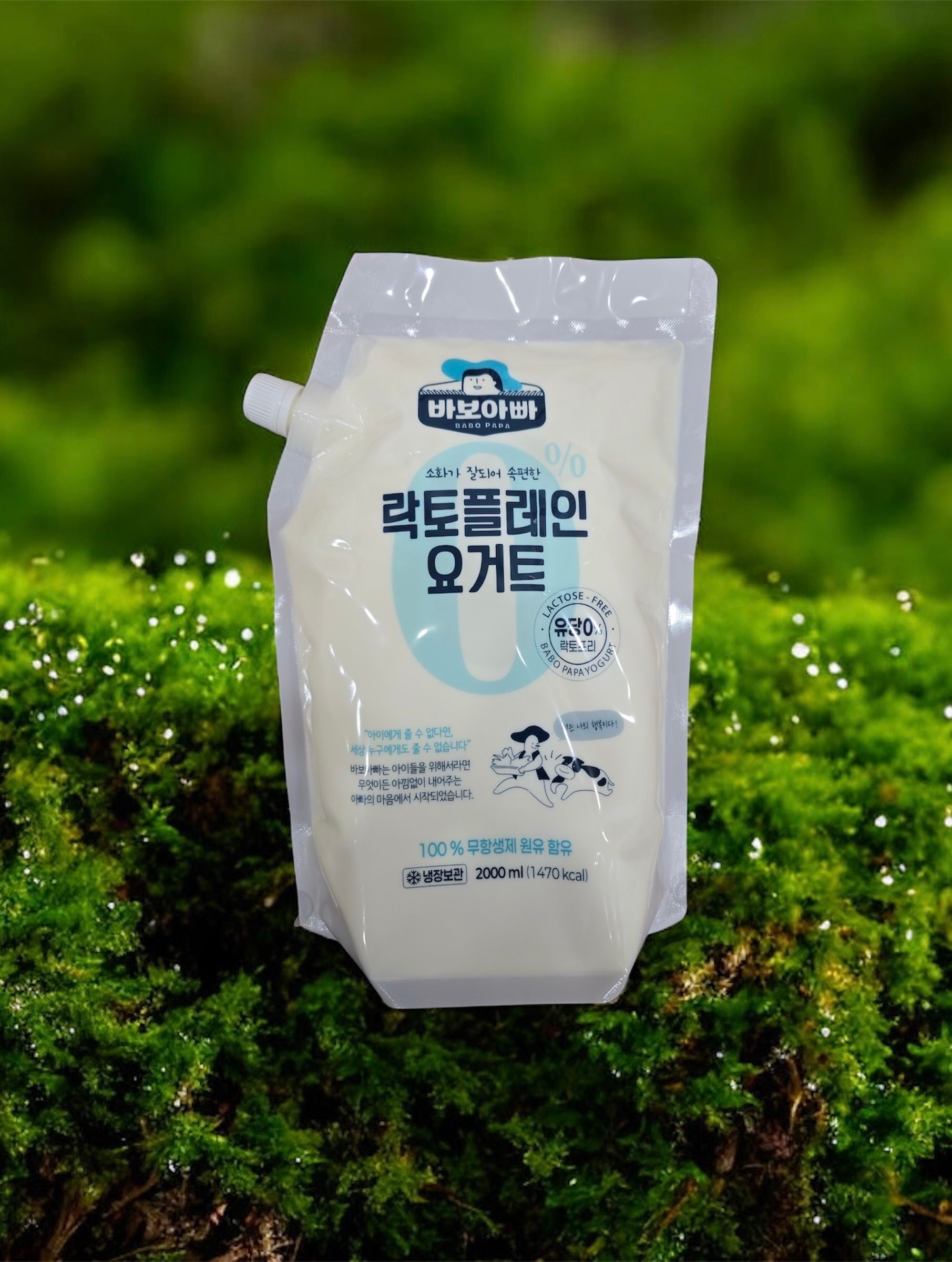 바보아빠 수제 락토 플레인 요거트 2000ml