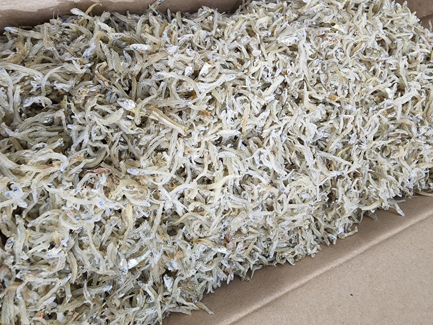 남해안 국산 지리 멸치 1.5kg