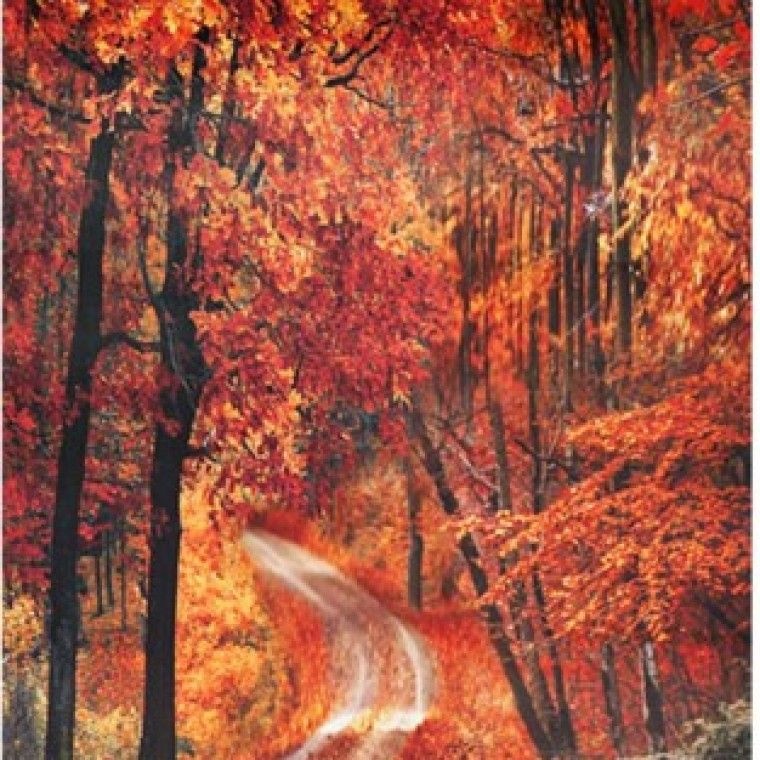 대주기획 2026년 대형 달력 최고의 세계 풍경 길사진 벽걸이 고급형